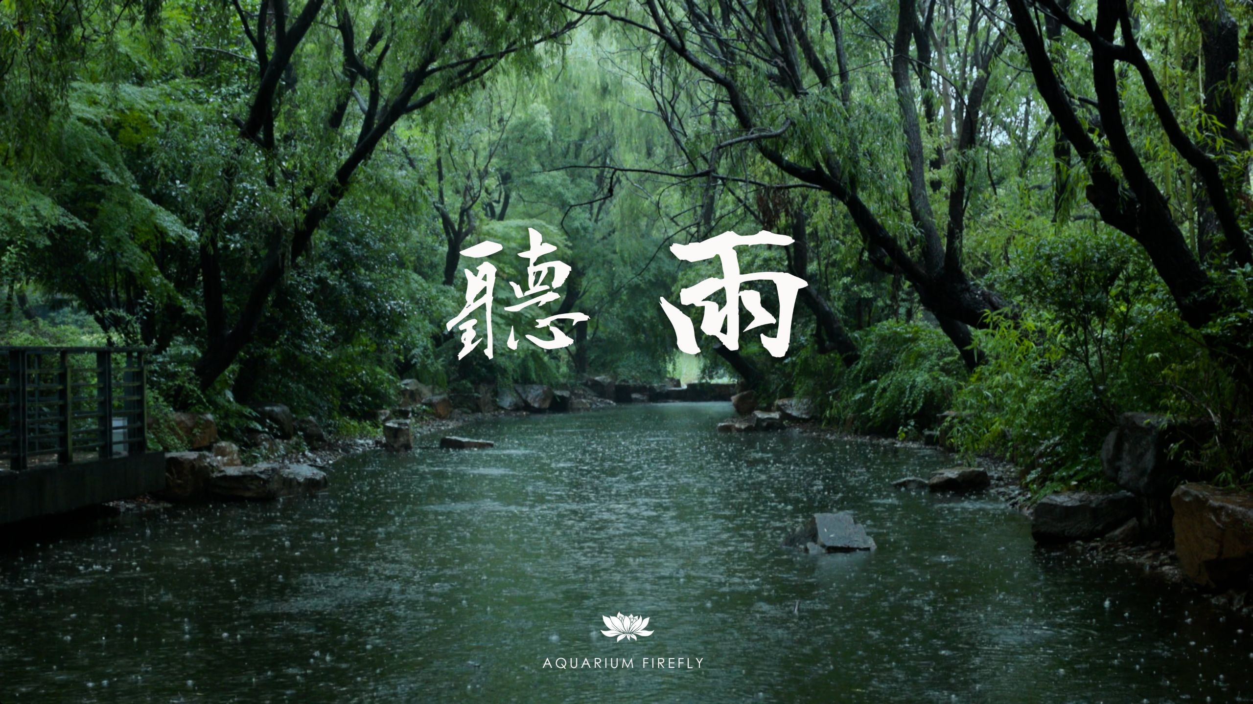 看见自己